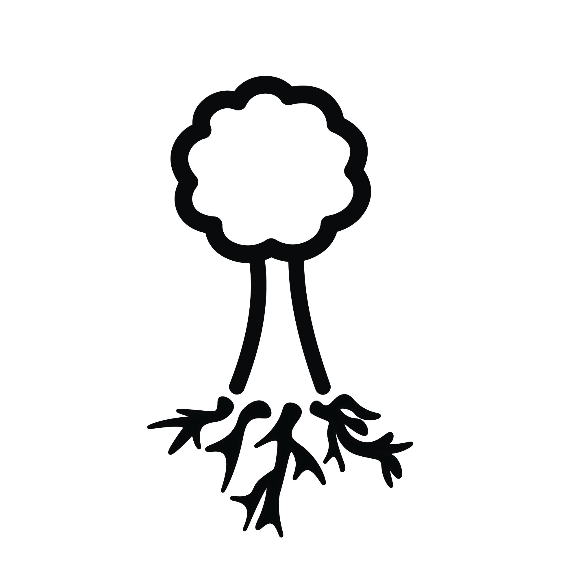 Baum mittel